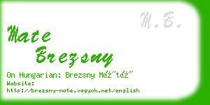 mate brezsny business card
